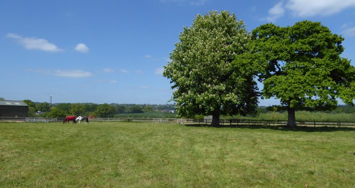 Countryside view Organford Manor